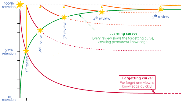 Curve Of Optimized Vocabulary Repetitions